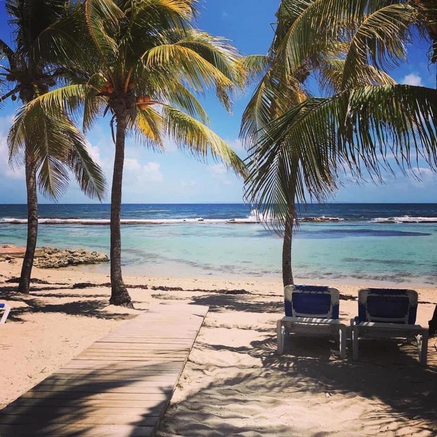 Studio Tahiti Vue Mer Сен-Франсуа Екстер'єр фото