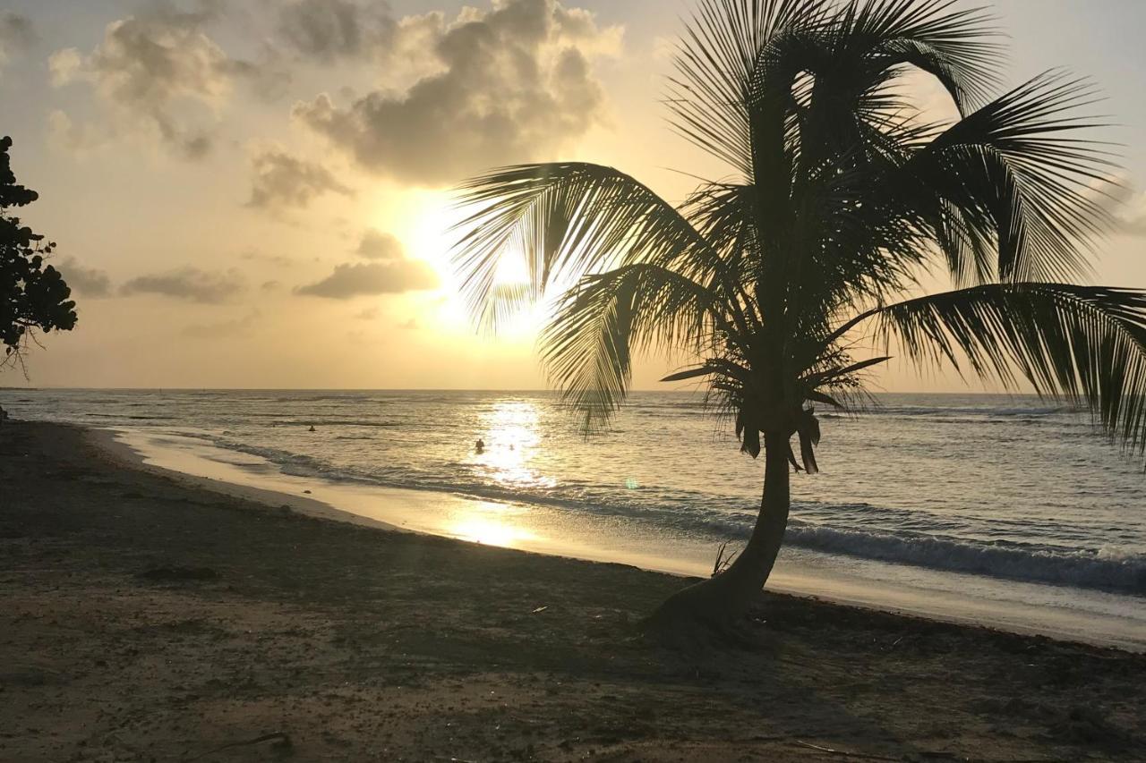 Studio Tahiti Vue Mer Сен-Франсуа Екстер'єр фото
